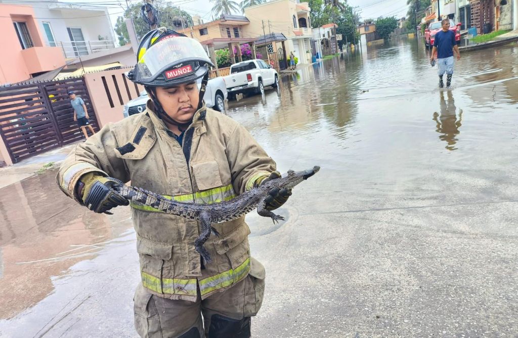 Imagen de WhatsApp 2025-06-24 a las 11.28.29_ad9f9ac4