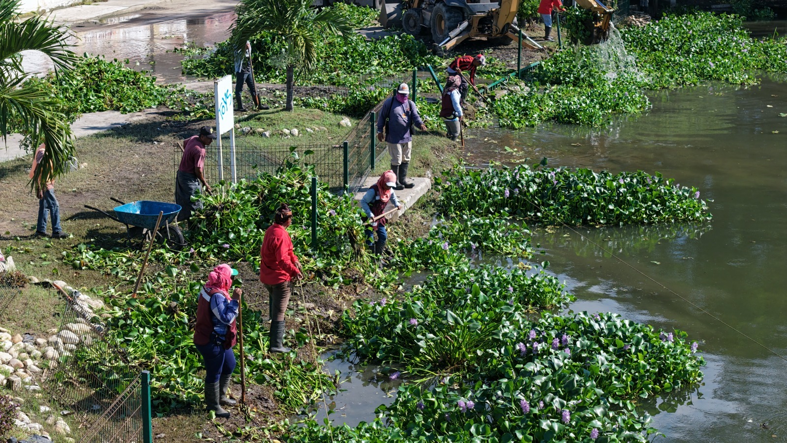 Imagen de WhatsApp 2025-11-07 a las 22.20.55_c3e97941