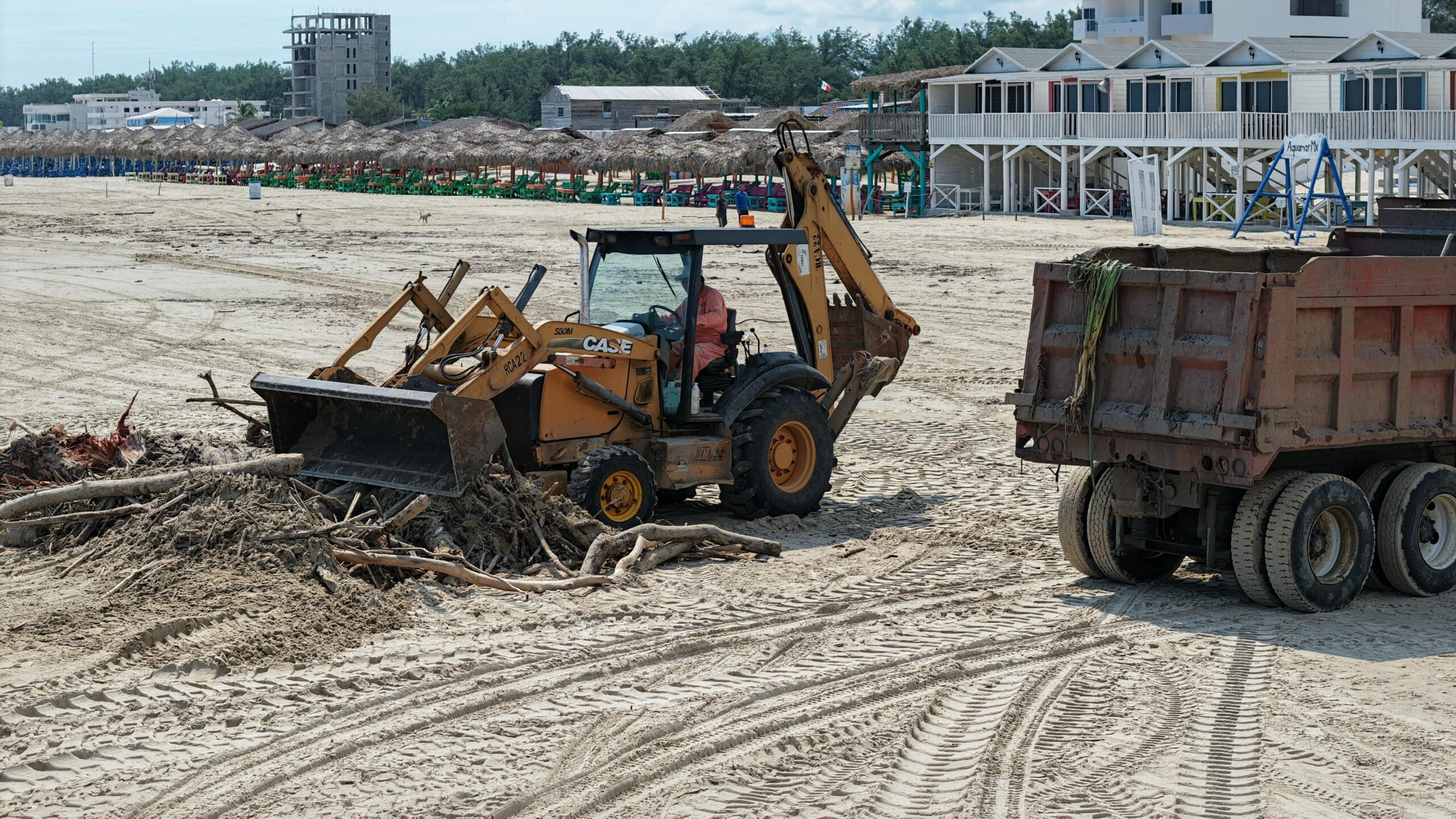 WhatsApp Image 2025-11-17 at 22.15.18_a054a632