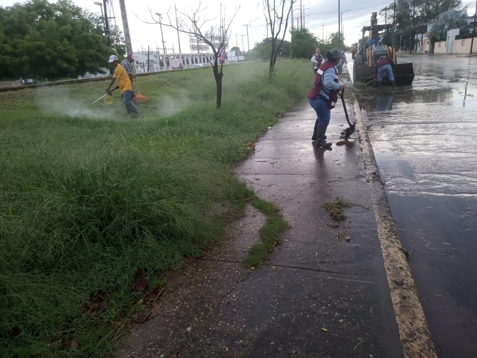 WhatsApp Image 2025-11-18 at 23.07.58_e0f52028