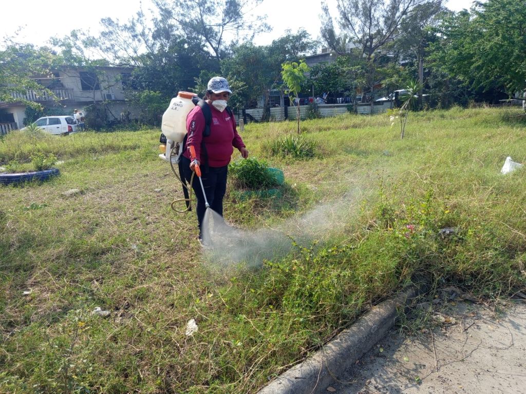 WhatsApp Image 2026-01-17 at 21.07.29 (2)