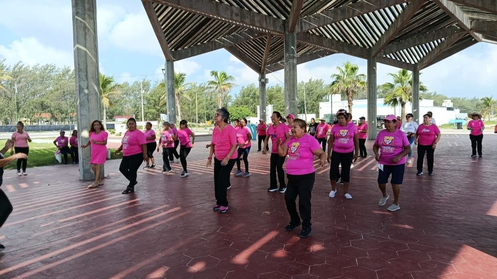 WhatsApp Image 2026-01-21 at 15.25.18 (2)