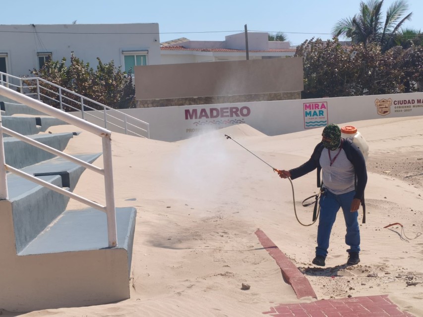 WhatsApp Image 2026-03-30 at 14.28.43 (1)